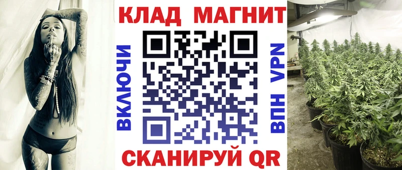 Купить закладку Alpha-PVP  МЕФ  Каннабис  КОКАИН  Новая Ладога