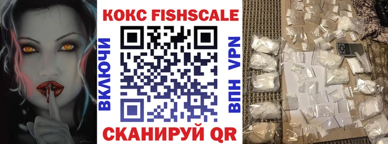 КОКАИН FishScale  Купить  Новая Ладога 