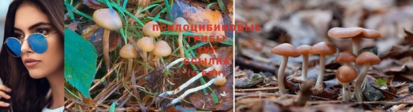 мет Кулебаки