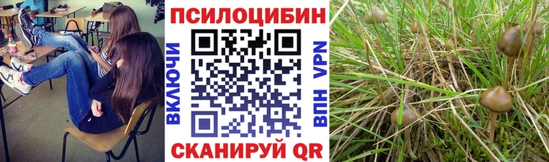 Купить  Новая Ладога  Галлюциногенные грибы мухоморы 